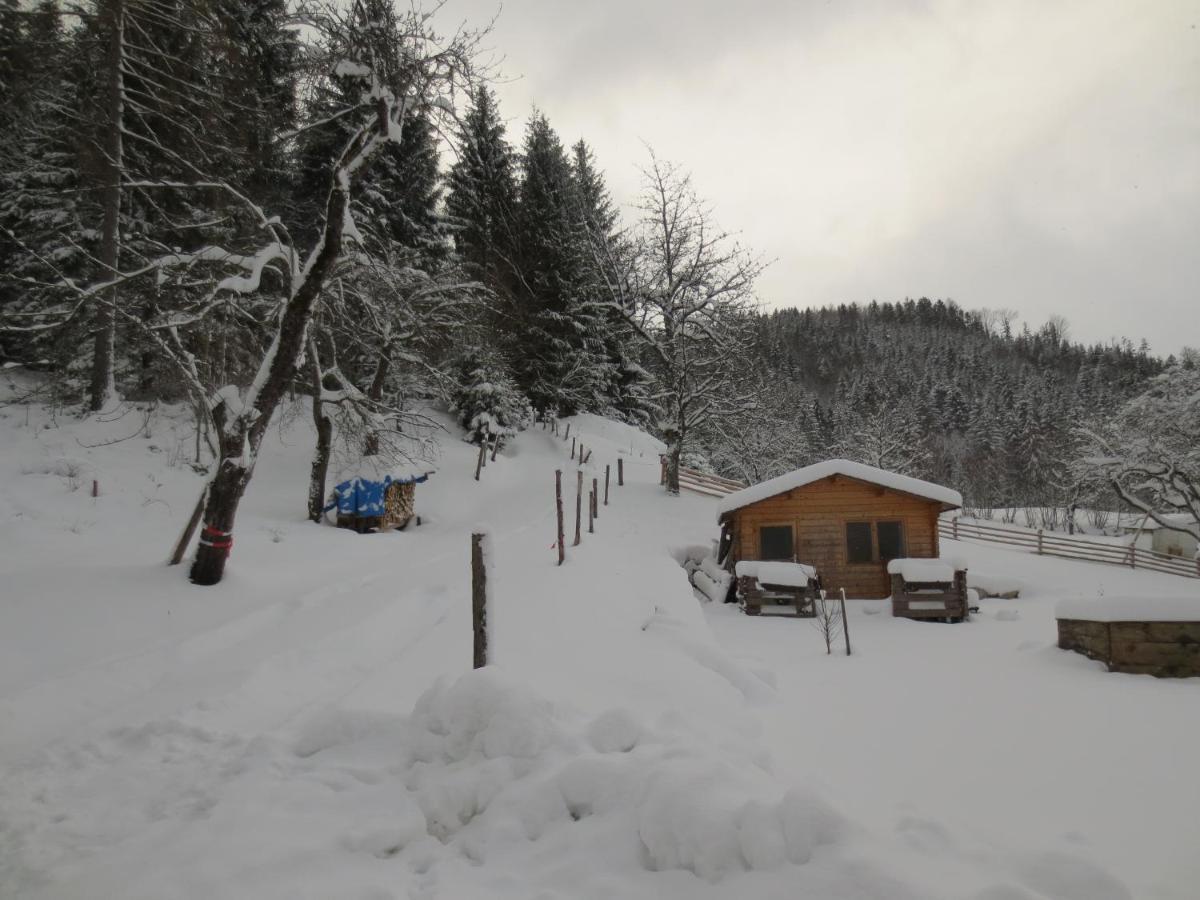 Landhaus Ziegelstadel Windischgarsten Buitenkant foto